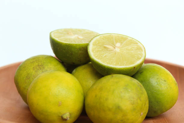 تصویر 5 از قیمت خرید لیموشیرین شیرازی با فروش عمده